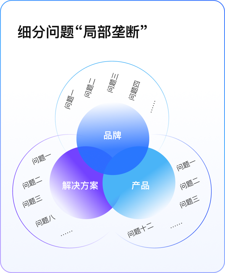 品牌、产品、解决方案三者重叠形成局部垄断的文氏图，覆盖各类客户问题