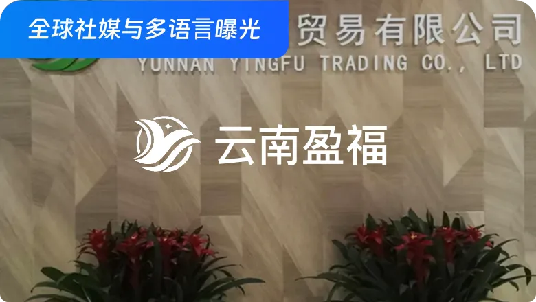 真实企业，阶段性成果